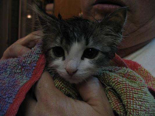 New Brunswick 2004 062.jpg